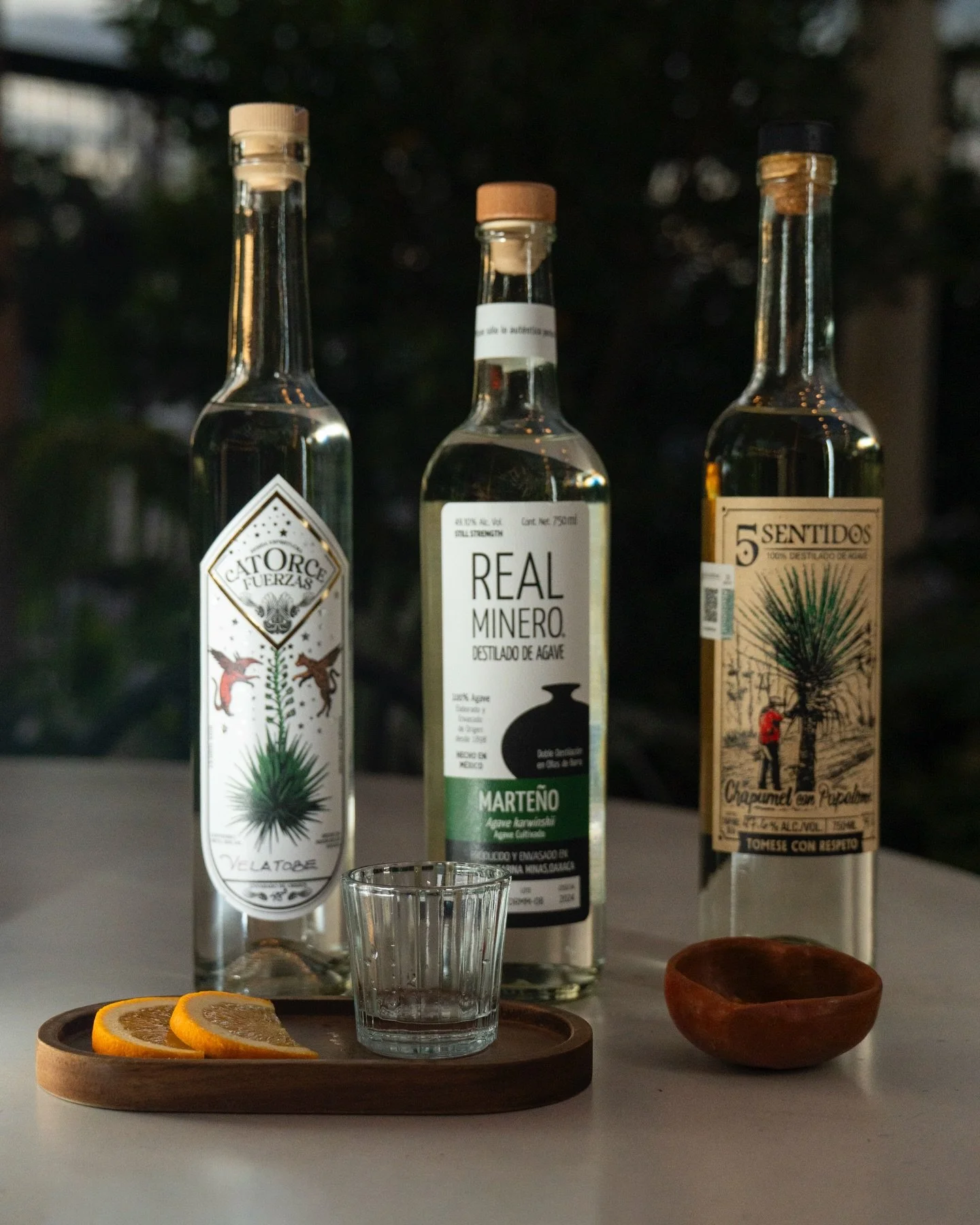 Last night was special.
Good mezcal, good people, even better conversations. Gracias for sharing the table with us.

🍕 @barbuccemiami 
🌵 @catorcefuerzasmiahuatlan 
🌵 @realminerooficial 
🌵 @5sentidosagave 
📸 @santiagophotoss