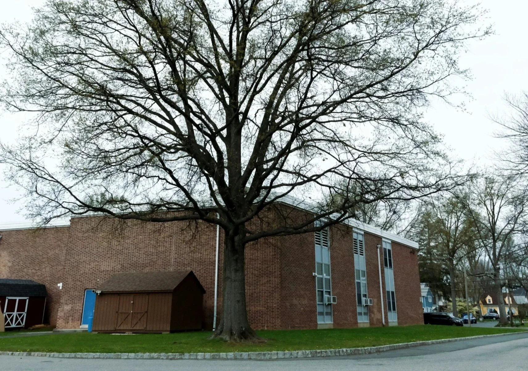 Exterior of an elementary school with red bricks and a tall tree in the middle