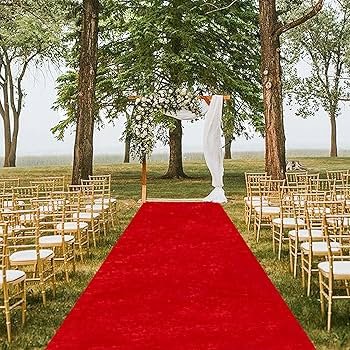 VIP Red Carpet Experience