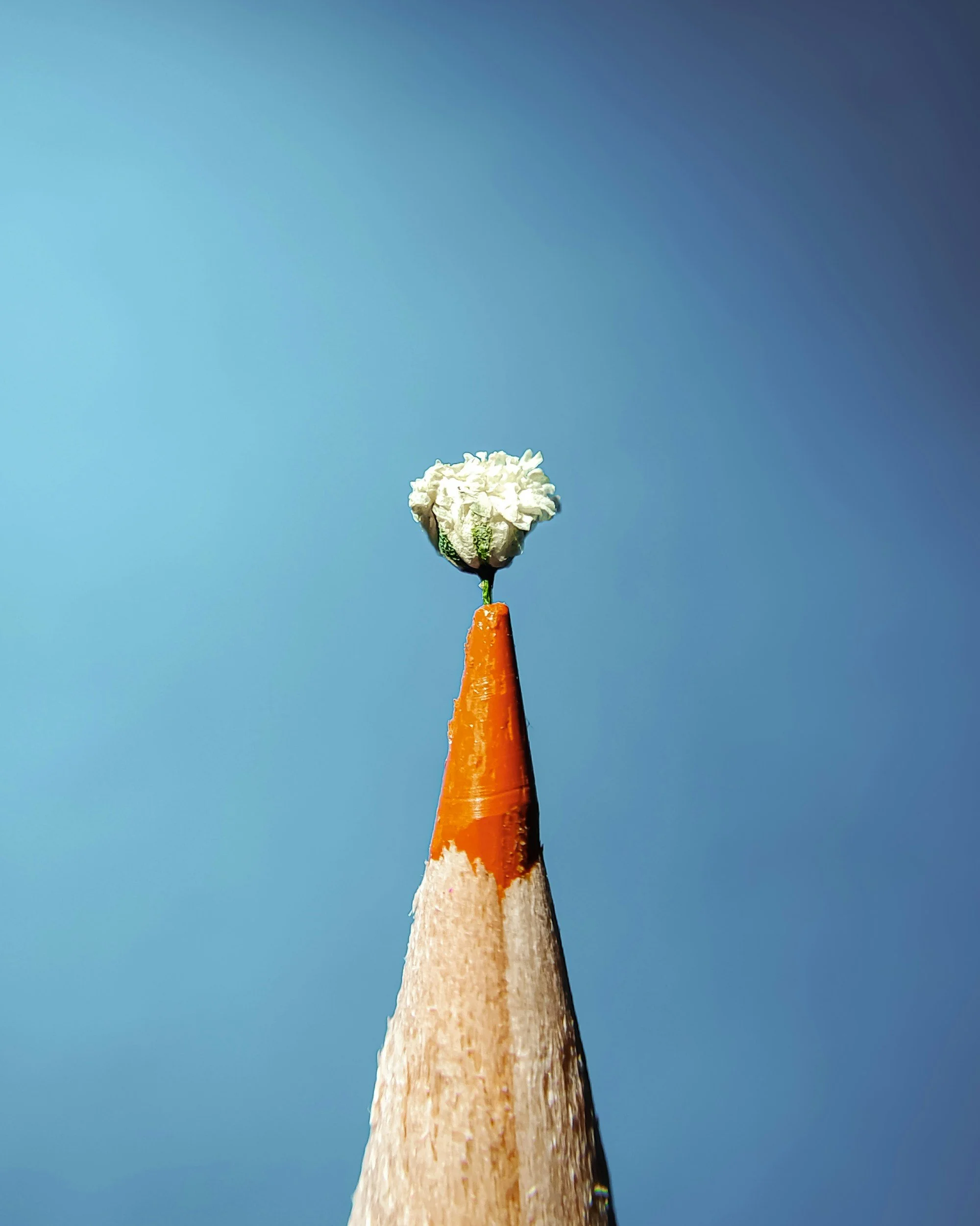 Igniting Creativity: step one is accepting our conditioning.