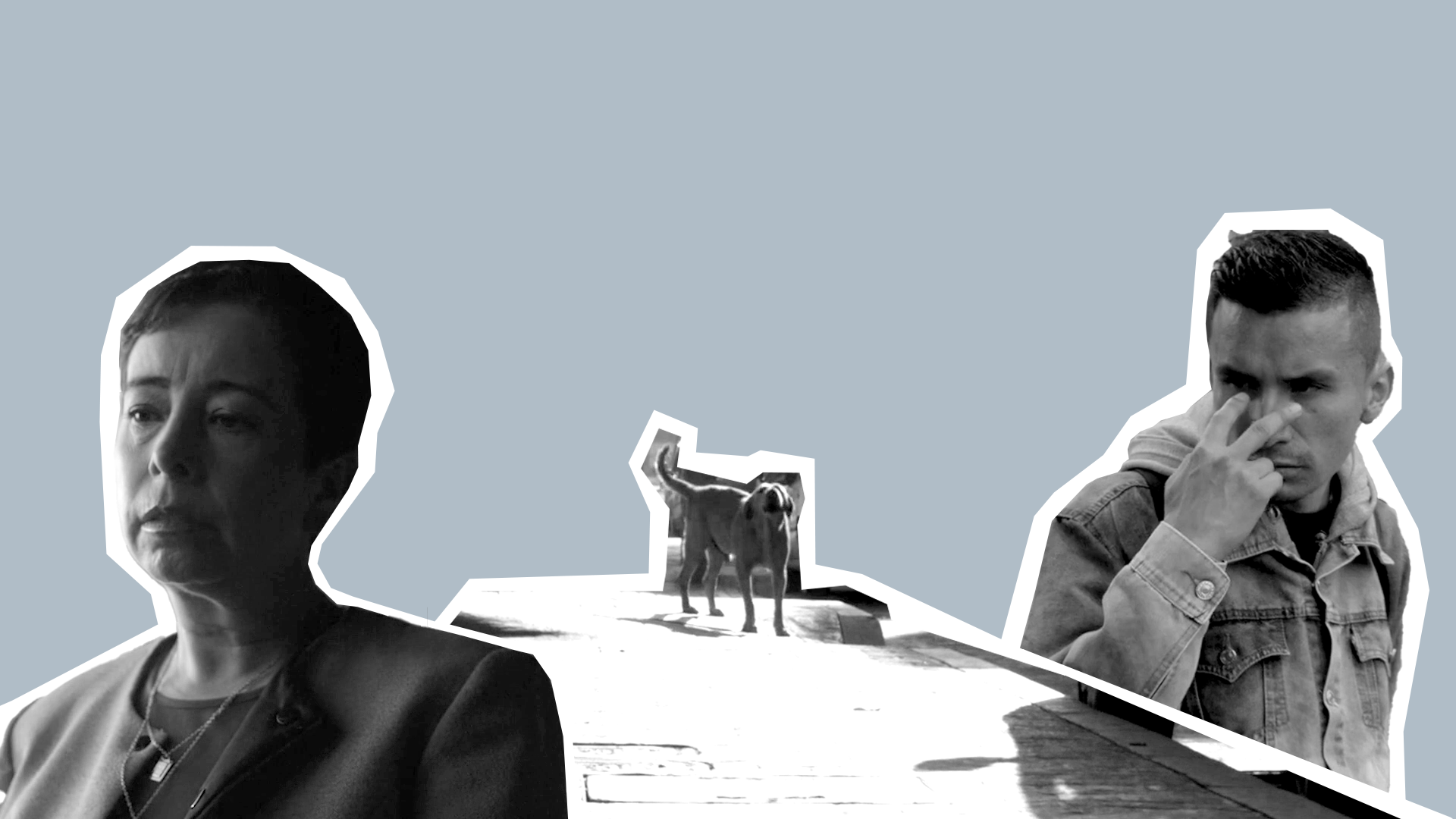 Thumbnails graciela.png