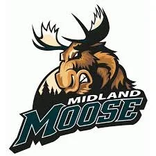 Midland Moose.jpeg