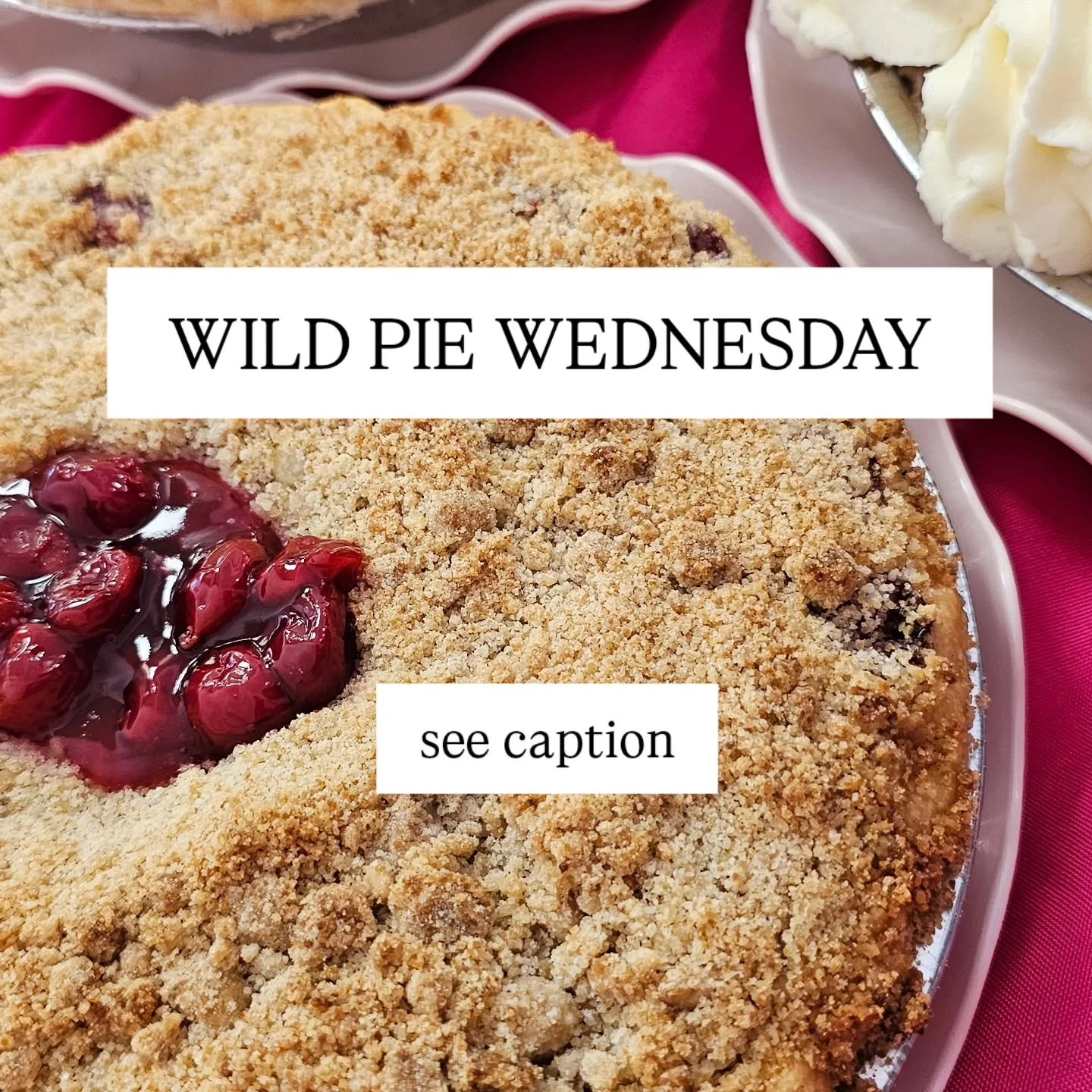 One of our pie fans, Lauren, shared one of their favorite family traditions and WE HAD TO SHARE! 

Her family loves pie so much that they gave it a day of it's own. Eating a big Thanksgiving dinner made it hard to enjoy pie at the end of the day. 
So