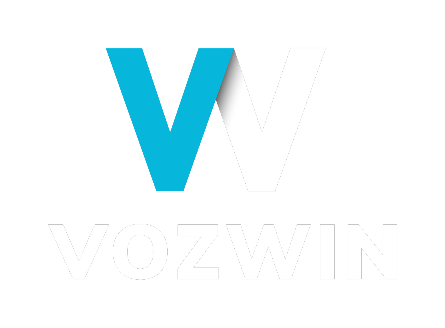 VOZWIN