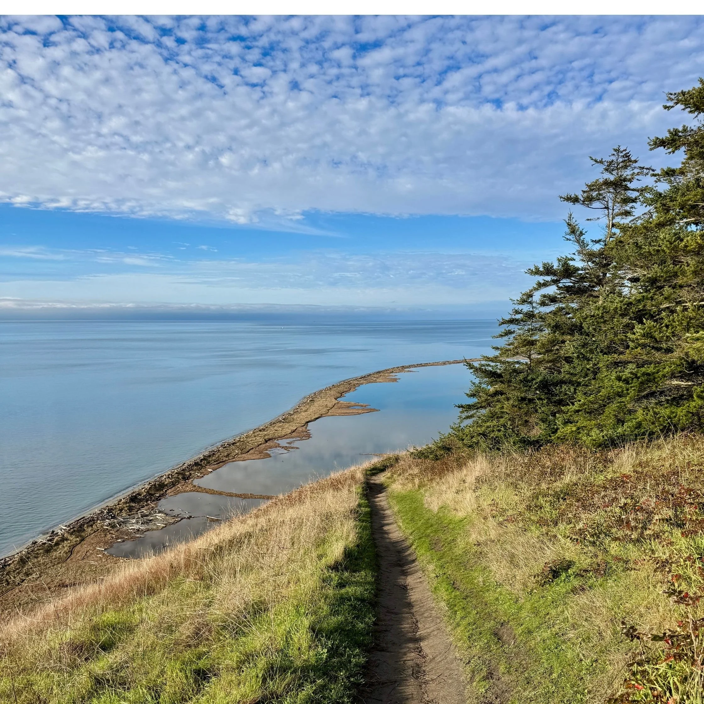Best Things To Do In Coupeville WA