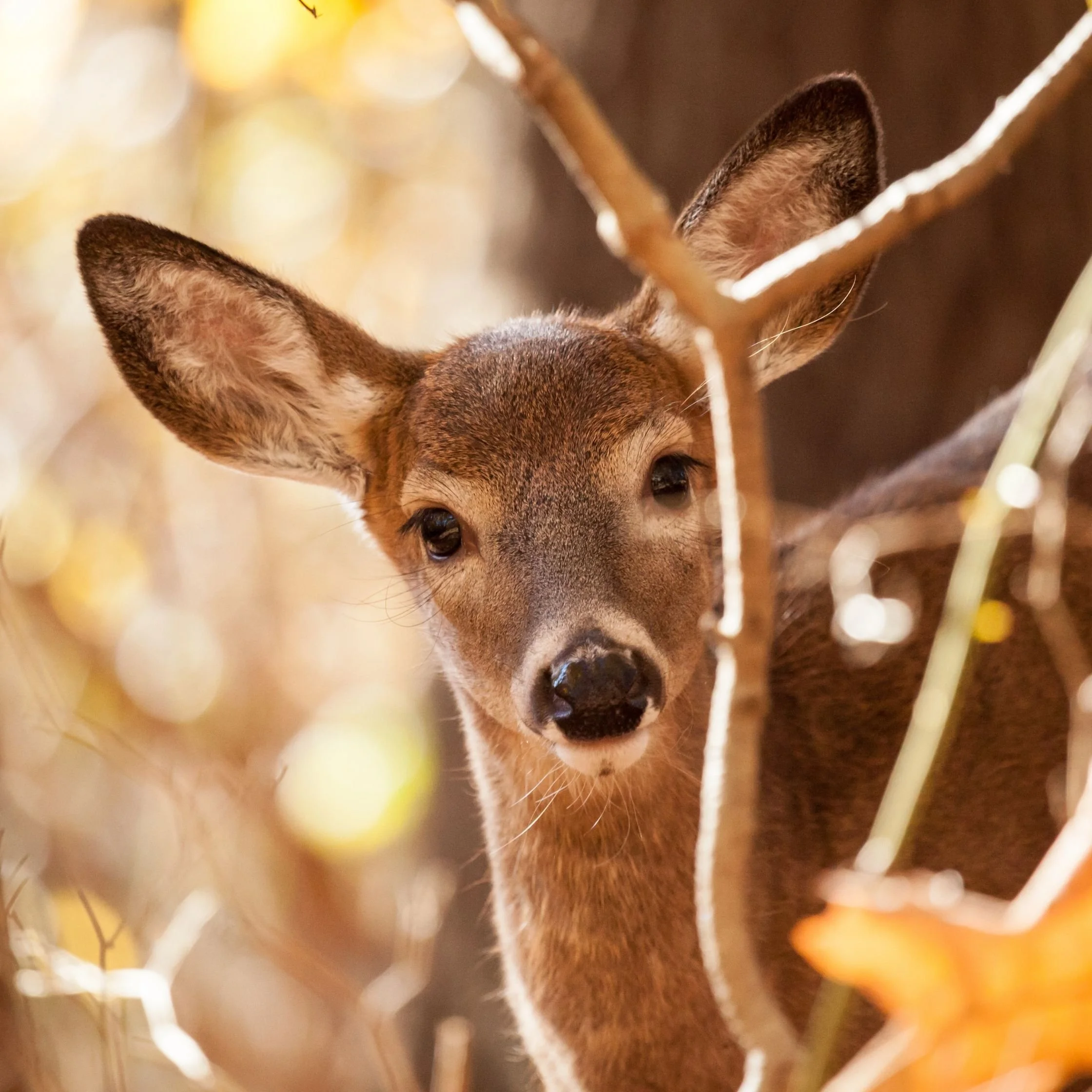 Is Coupeville WA Safe?