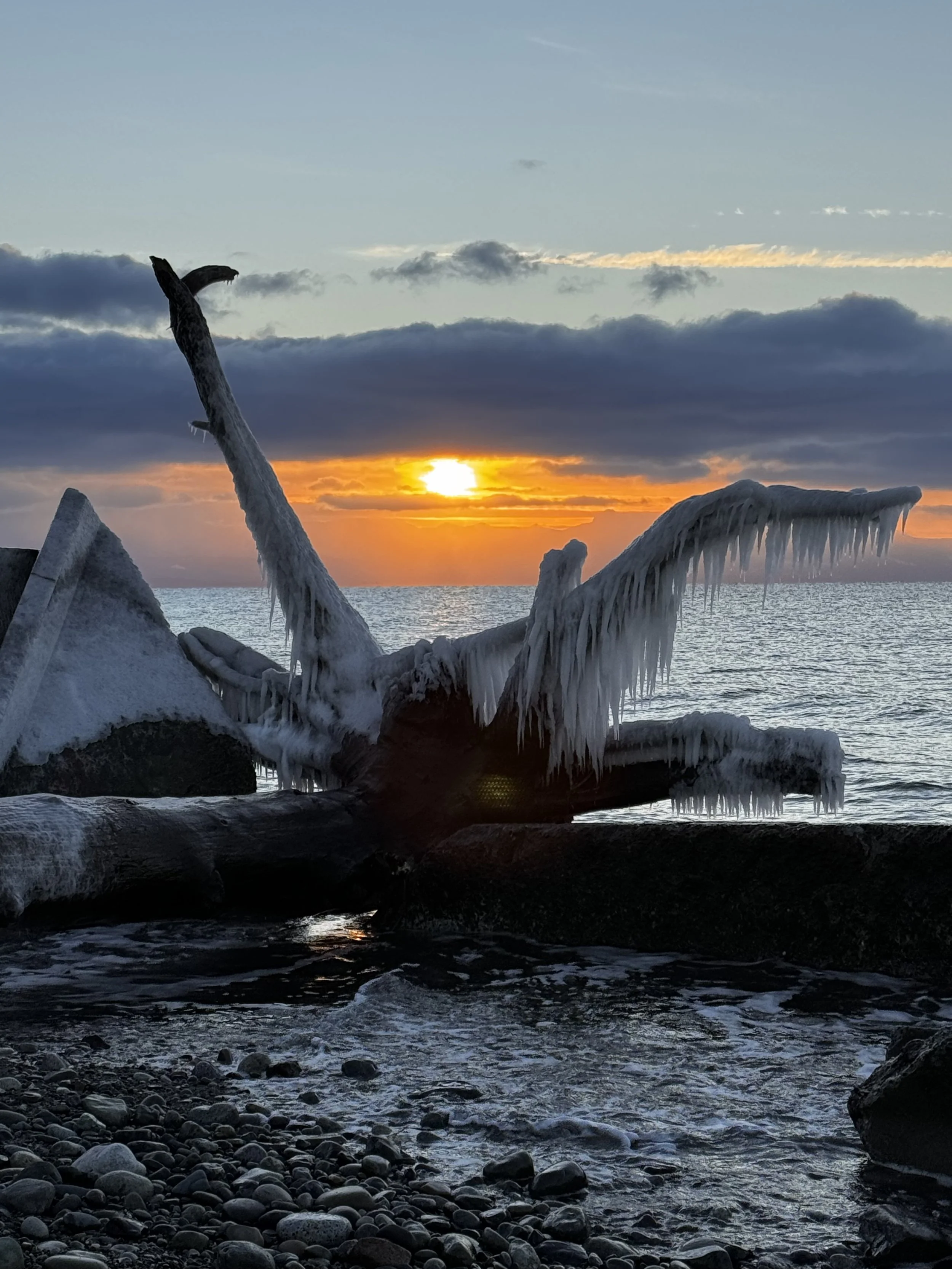 Winter on Whidbey Island: The Season Locals Secretly Love Most