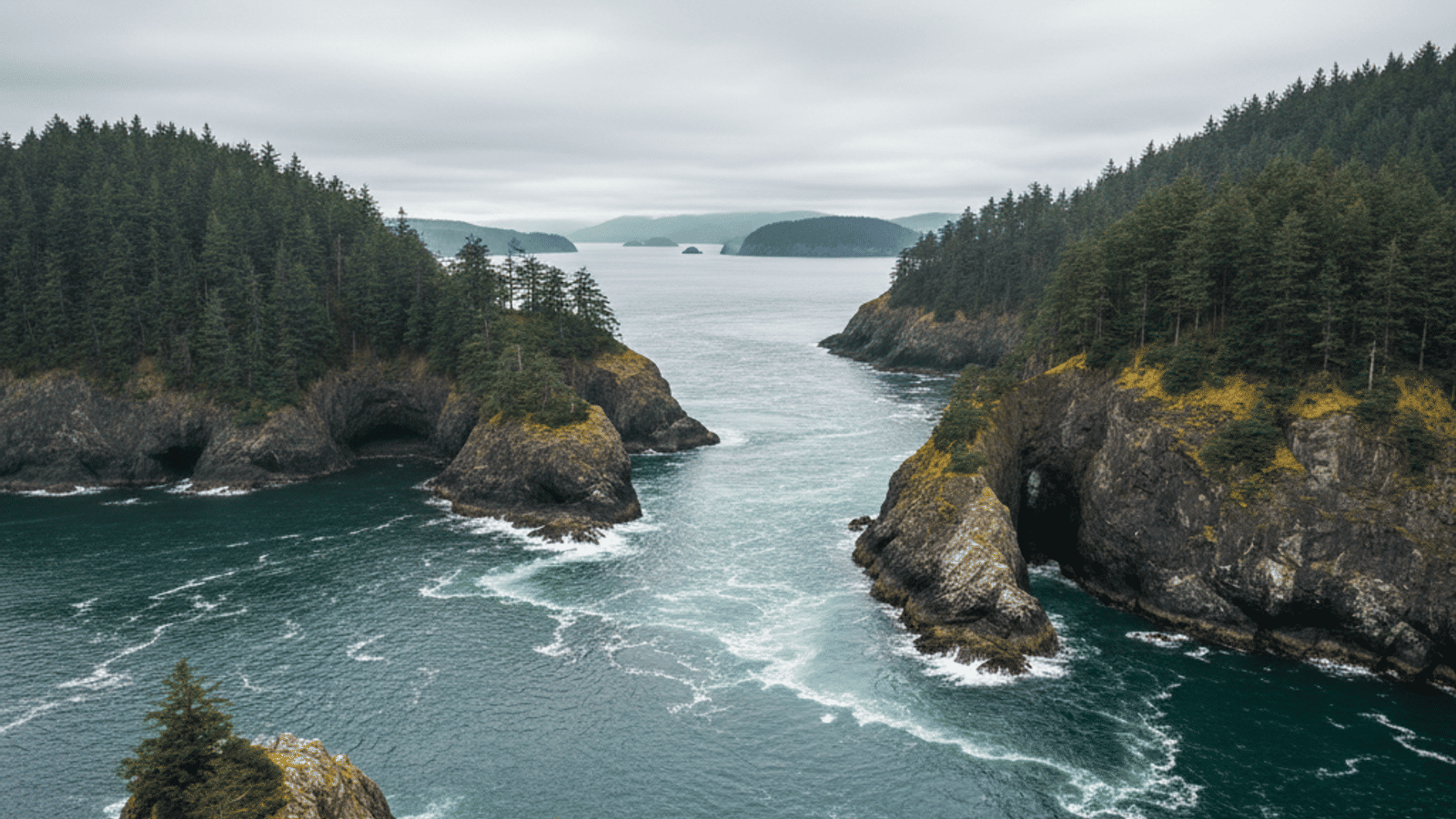 Oak Harbor vs. Anacortes: Choosing Your Island Home
