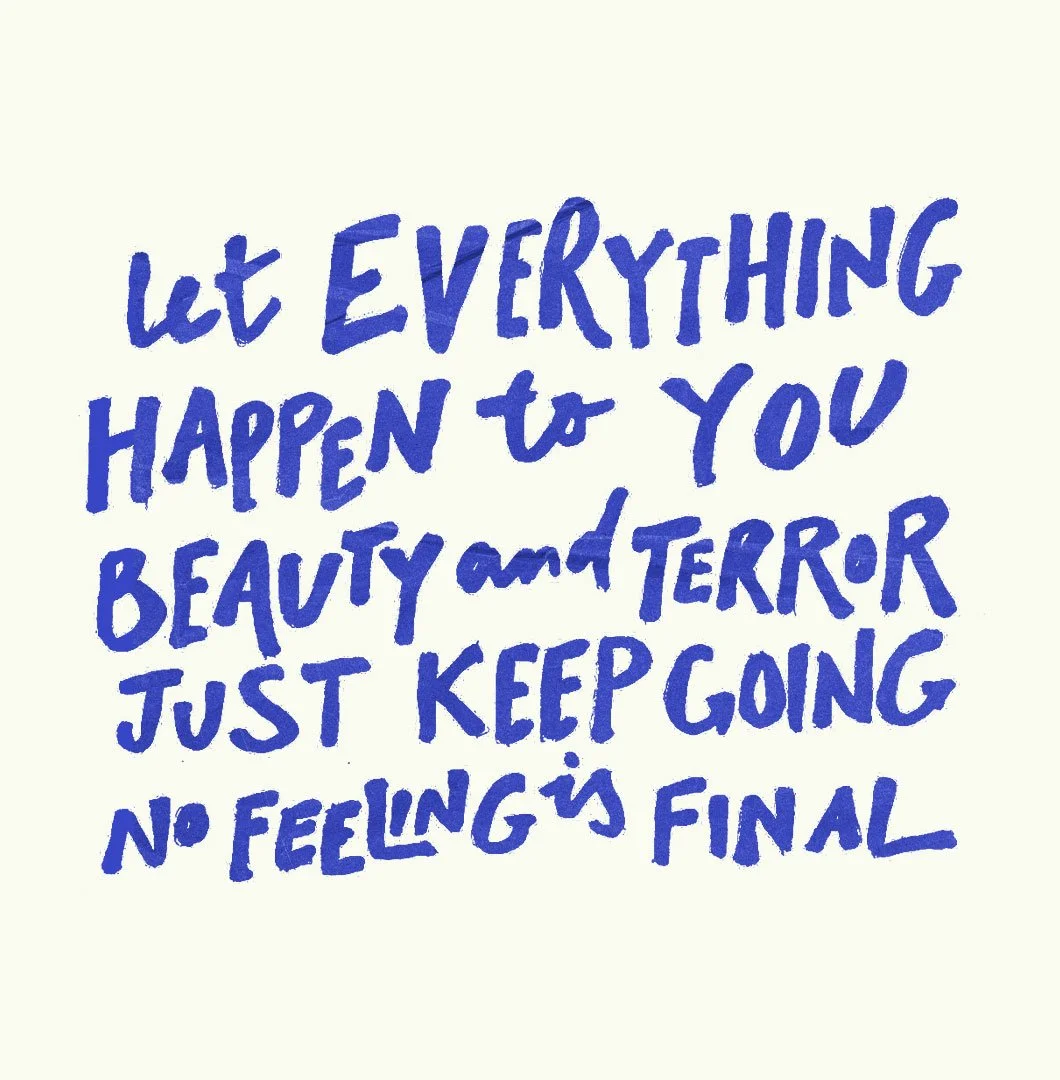 Beauty &amp; Terror
