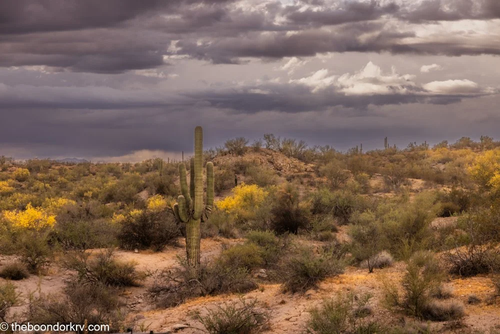 Do I get lonely? ~ 4 comments