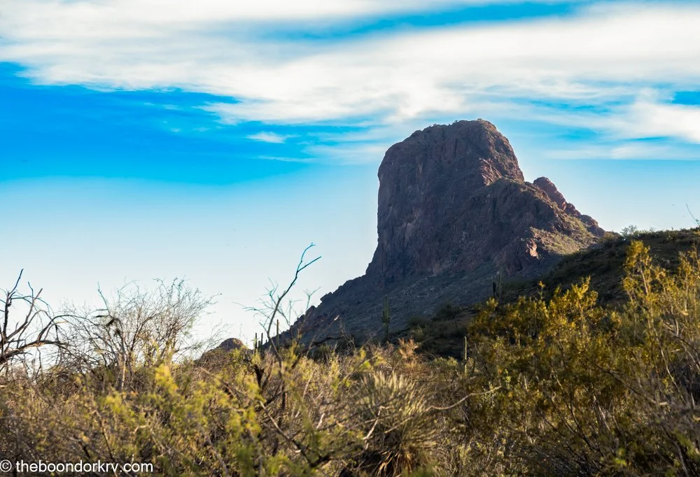 Sneaky Snakes. ~ 7 comments