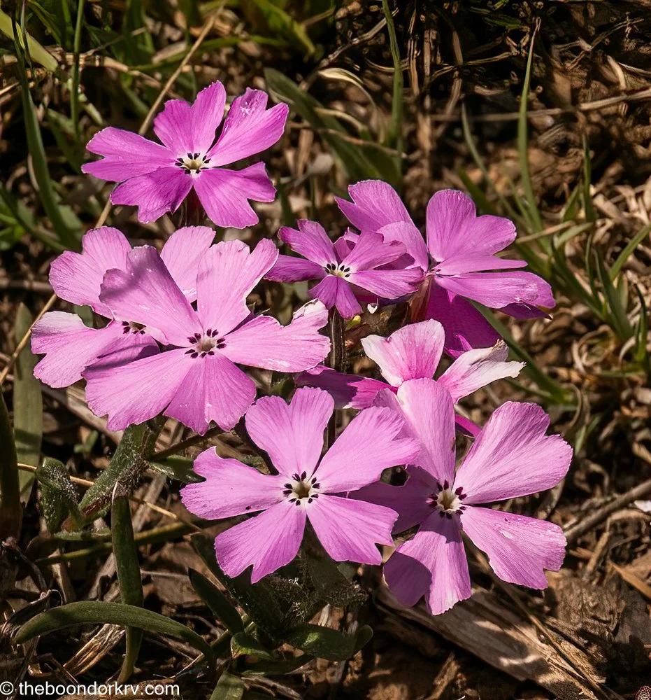 Hand me down my travelin' shoes 