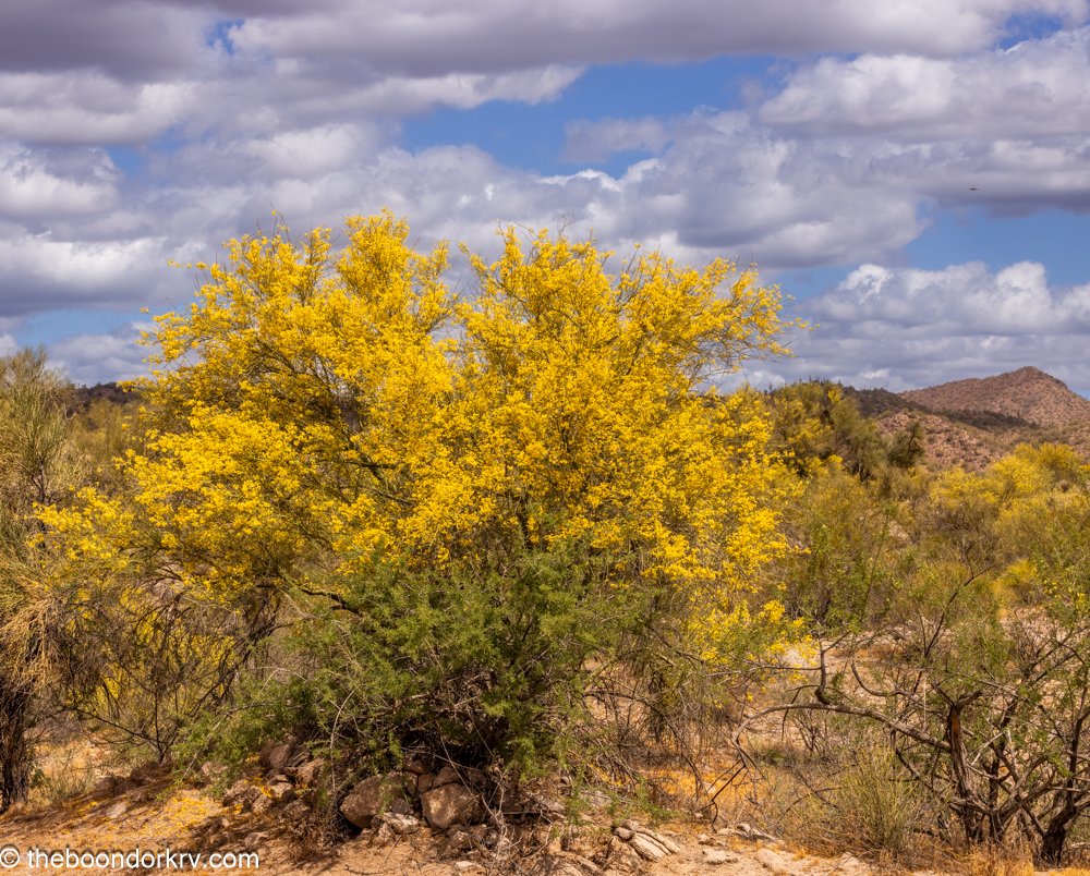 The Mariel Boat Lift. Part 1.