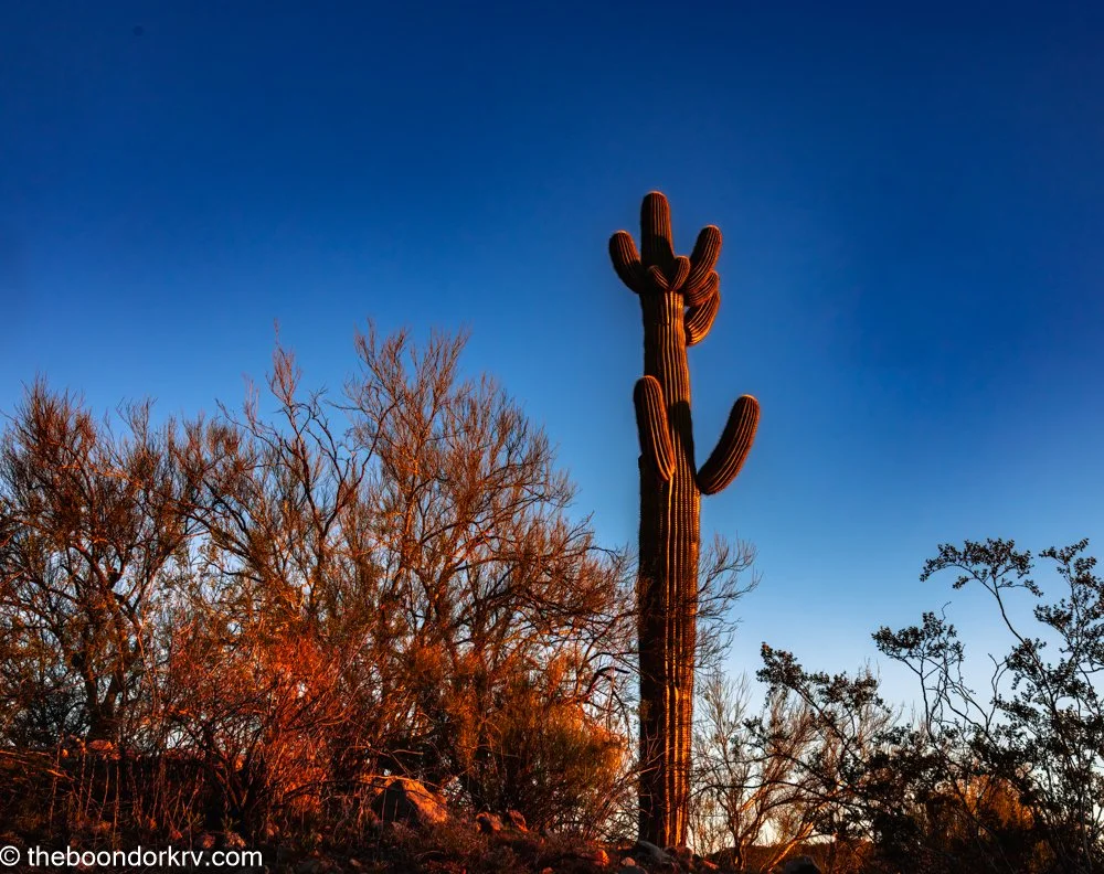 Still testing my portable solar panels.