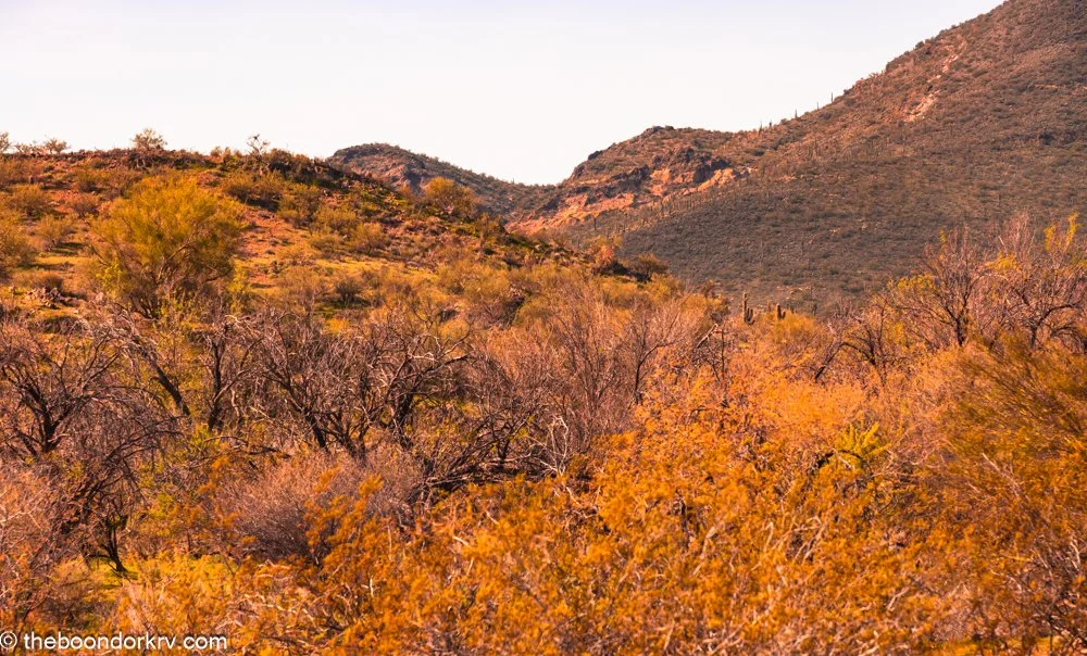 Wickenburg, Arizona, my new home. ~ 2 comments.