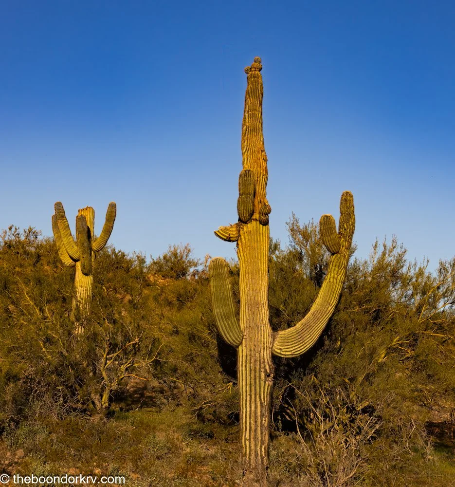 We're living life backwards.