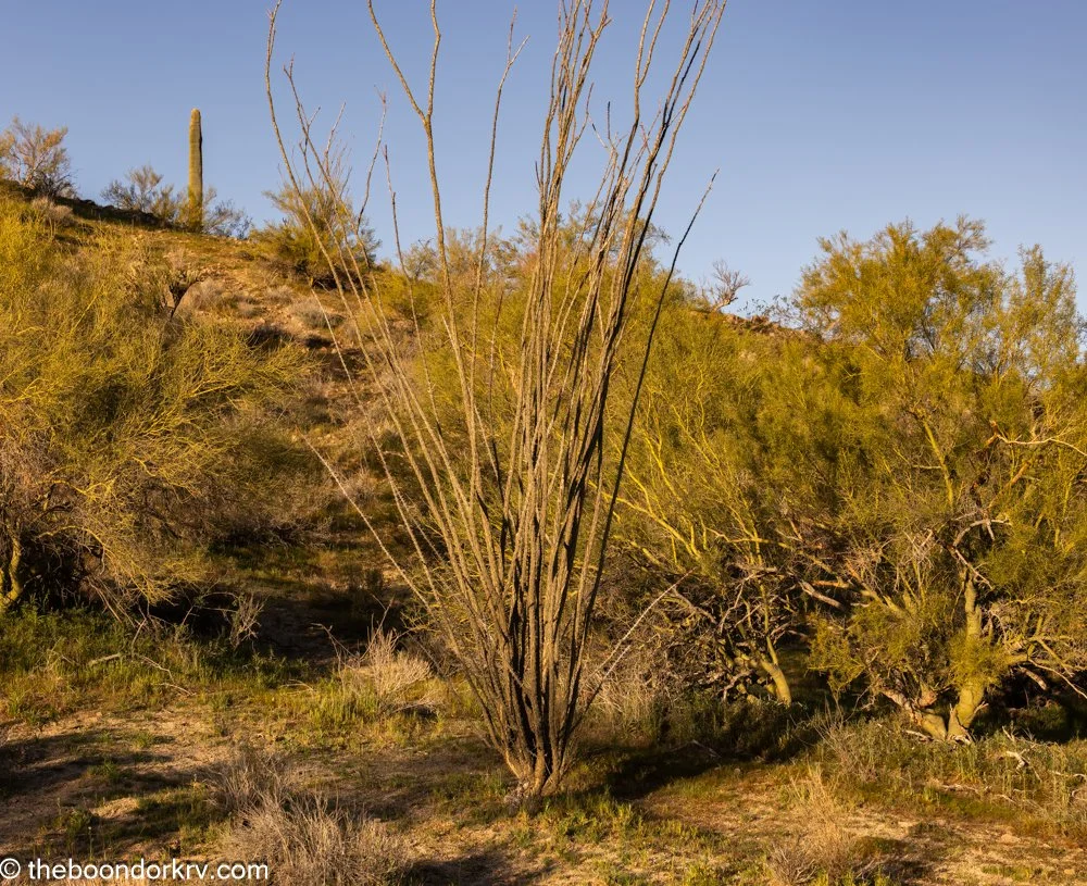 Finally, a chance to test my solar panels.