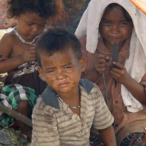 The Secret of Our Success