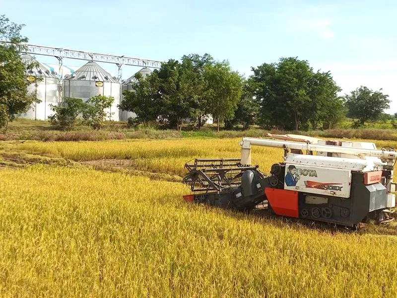 Year of God's Provision