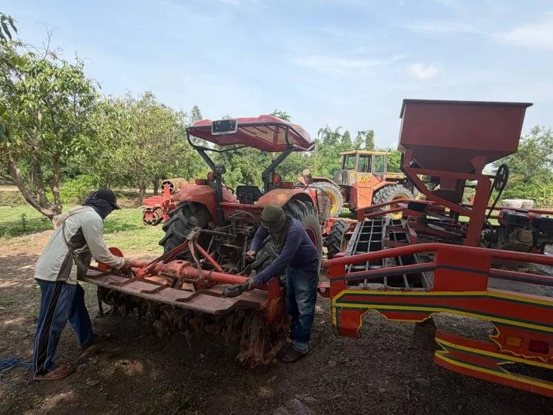 Rice_Farming_for_sustainability01.jpg
