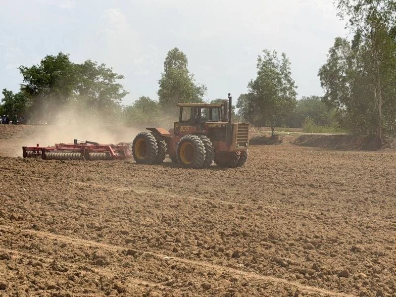 Rice_Farming_for_sustainability02.jpg