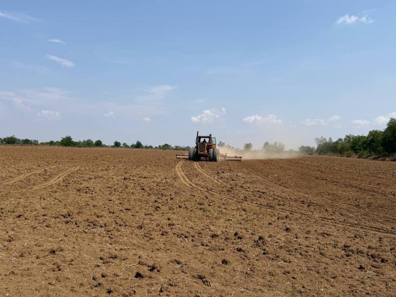 Rice_Farming_for_sustainability04.jpg