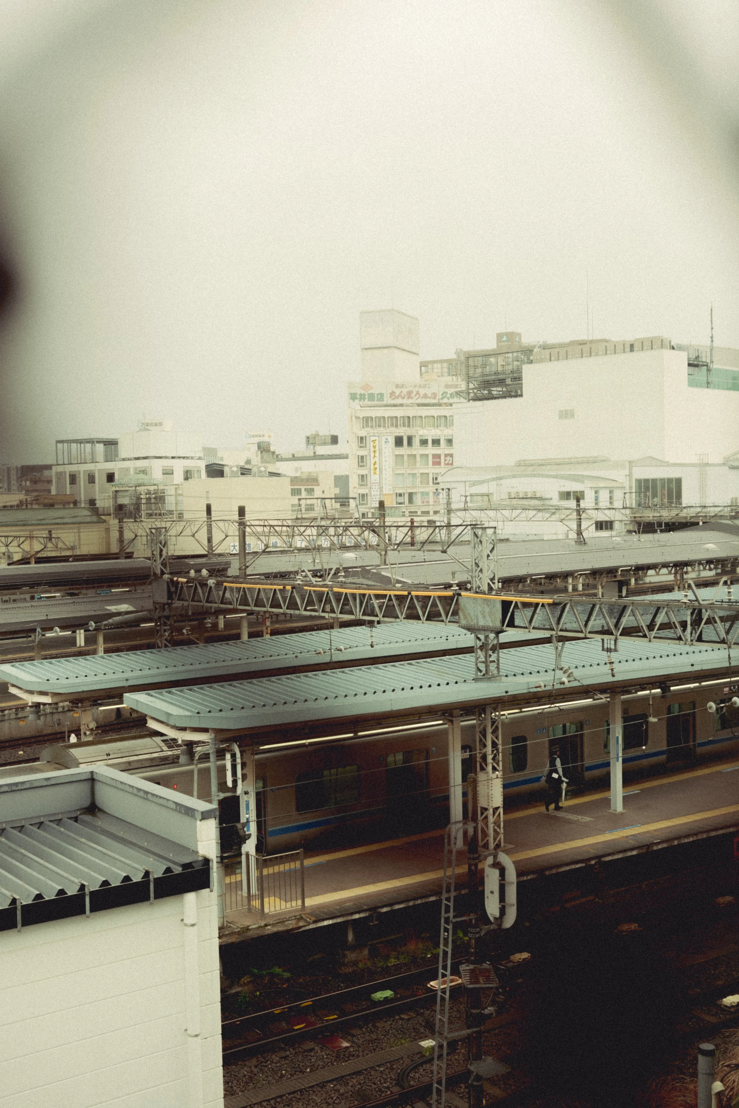 DSCF4341.jpg