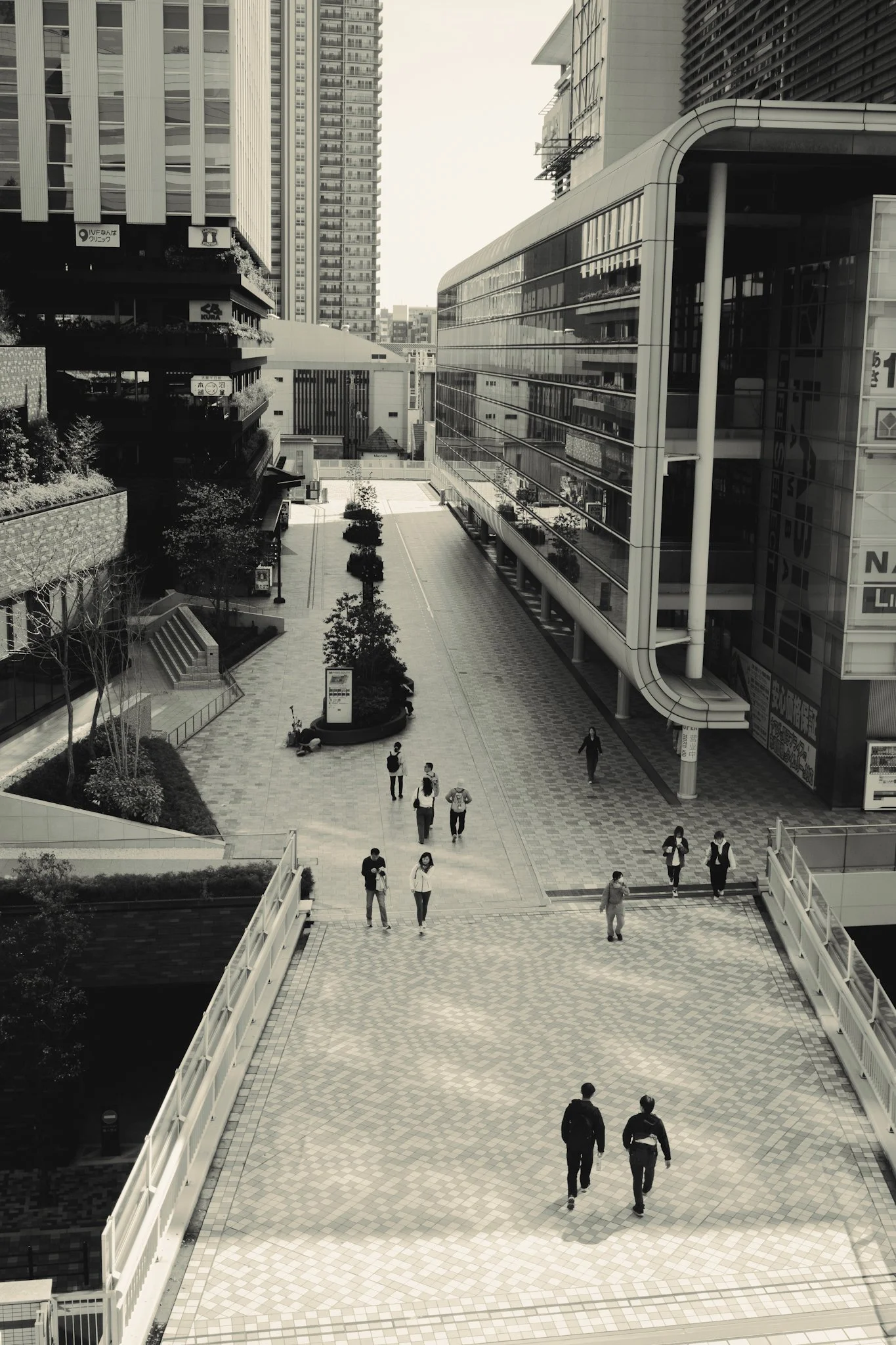 smallDSCF4830-1.jpg