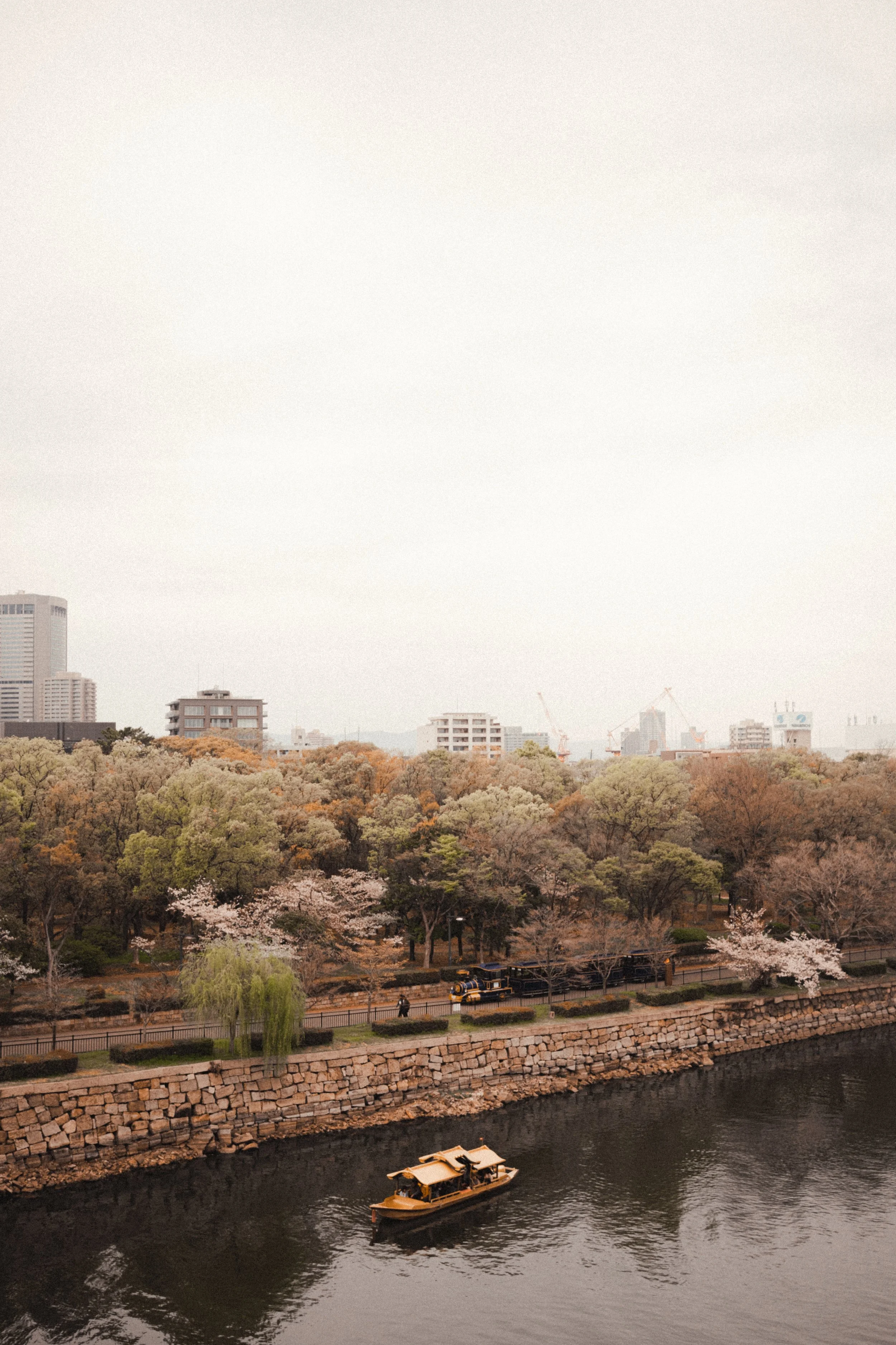 DSCF4968.jpg