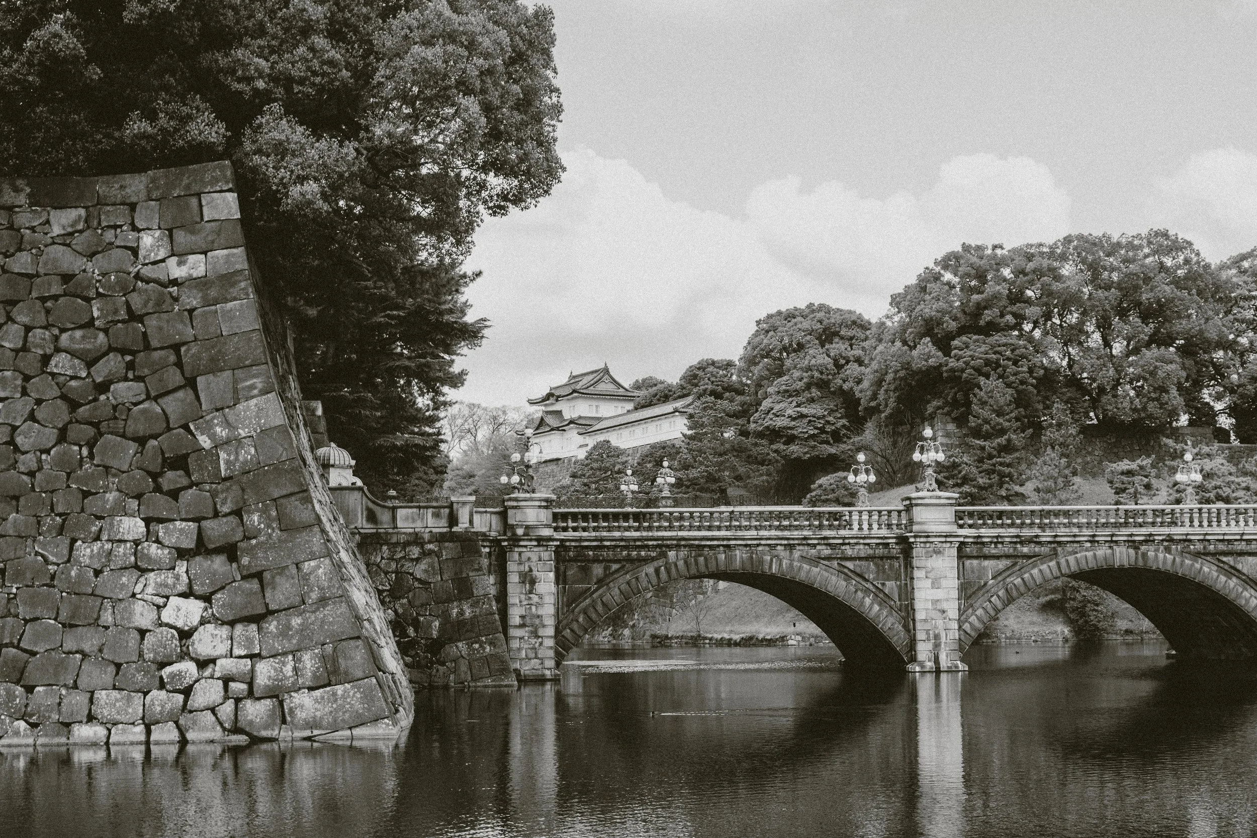 DSCF3905.jpg