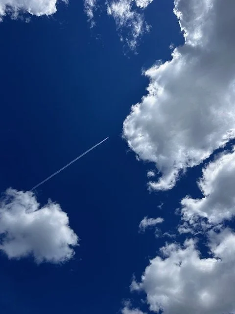 Finding Clarity in Complexity