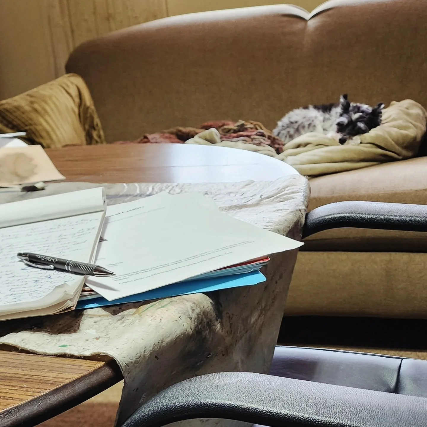 While I am back working in the studio today putting together my newsletter, you can see in the background that Baxter is also working hard, but instead he is working on his napping skills.
The last couple of weeks have been focused on family, especia