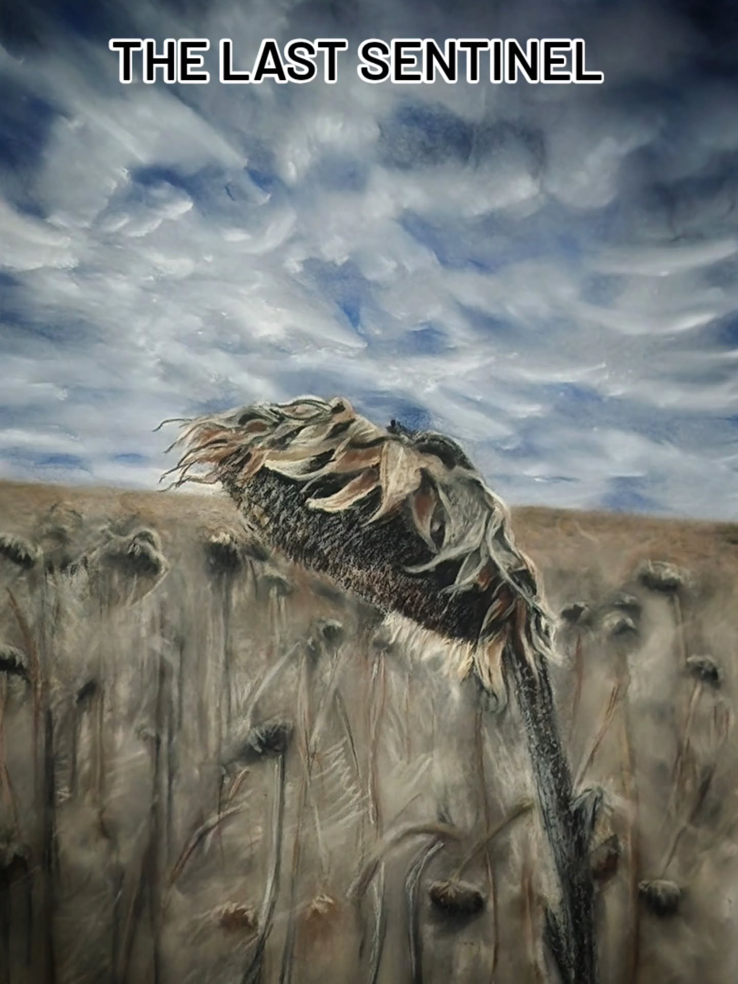 I am so excited that these two pastel paintings of mine are now framed and hanging in the gallery at NV Studio in downtown Sioux Falls. It's a dream come true on my journey as an artist.
Stop in person and see these and all the other beautiful pieces