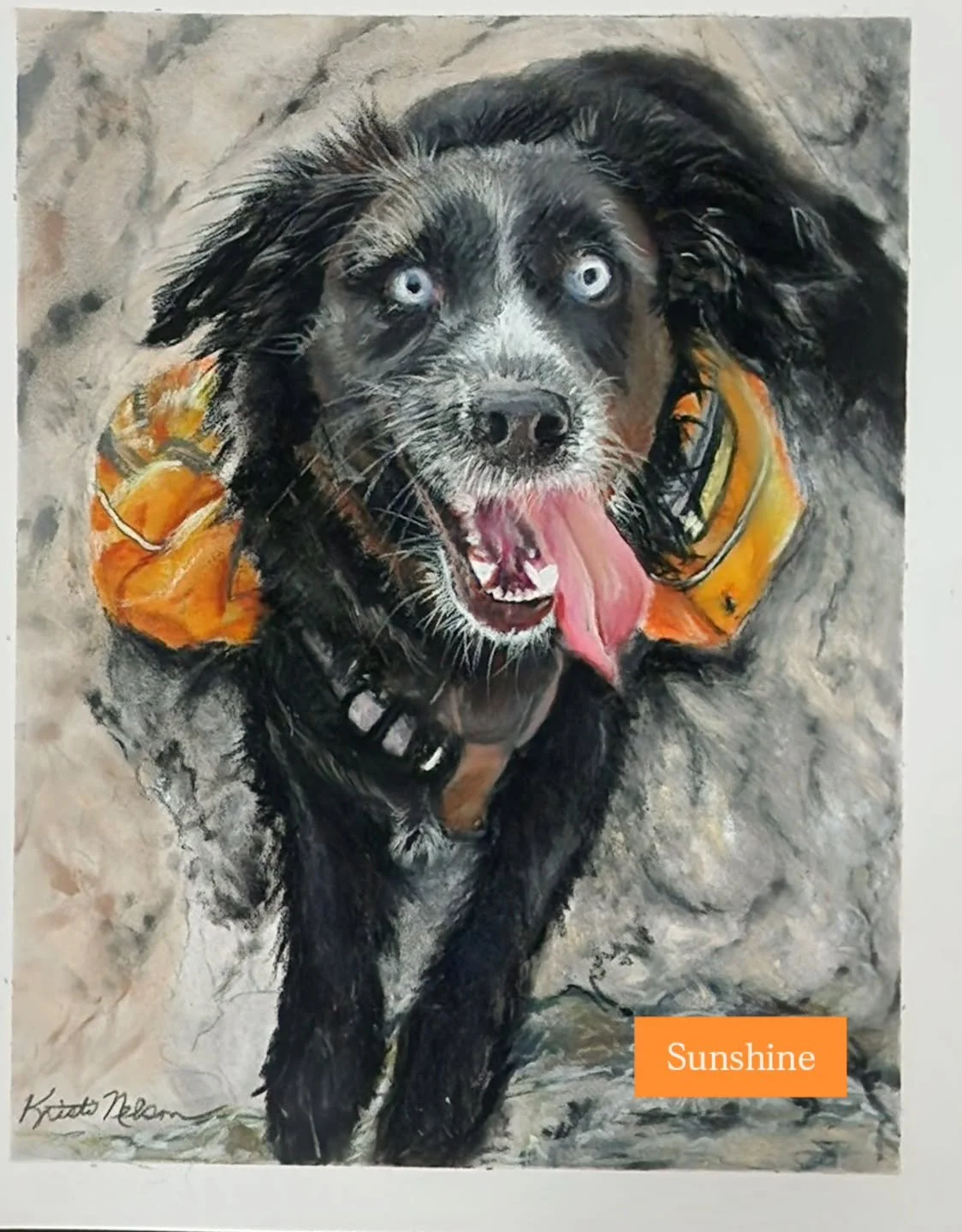 Sunshine's family said a tearful good-bye to her in March. She had been with her best friend since grad school and was a protector of her family. Sunshine loved hiking and wearing her orange packs. A dozen years with this sweet girl was not enough.  