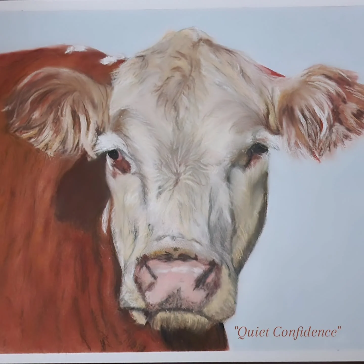 Here is the finished portrait. 
This sweet, gentle cow's portrait was painted from a reference photo I had taken a few years ago on a guided farm tour.
I grew up on a  South Dakota farm and my dad raised Hereford's. They are a gentle breed and will f