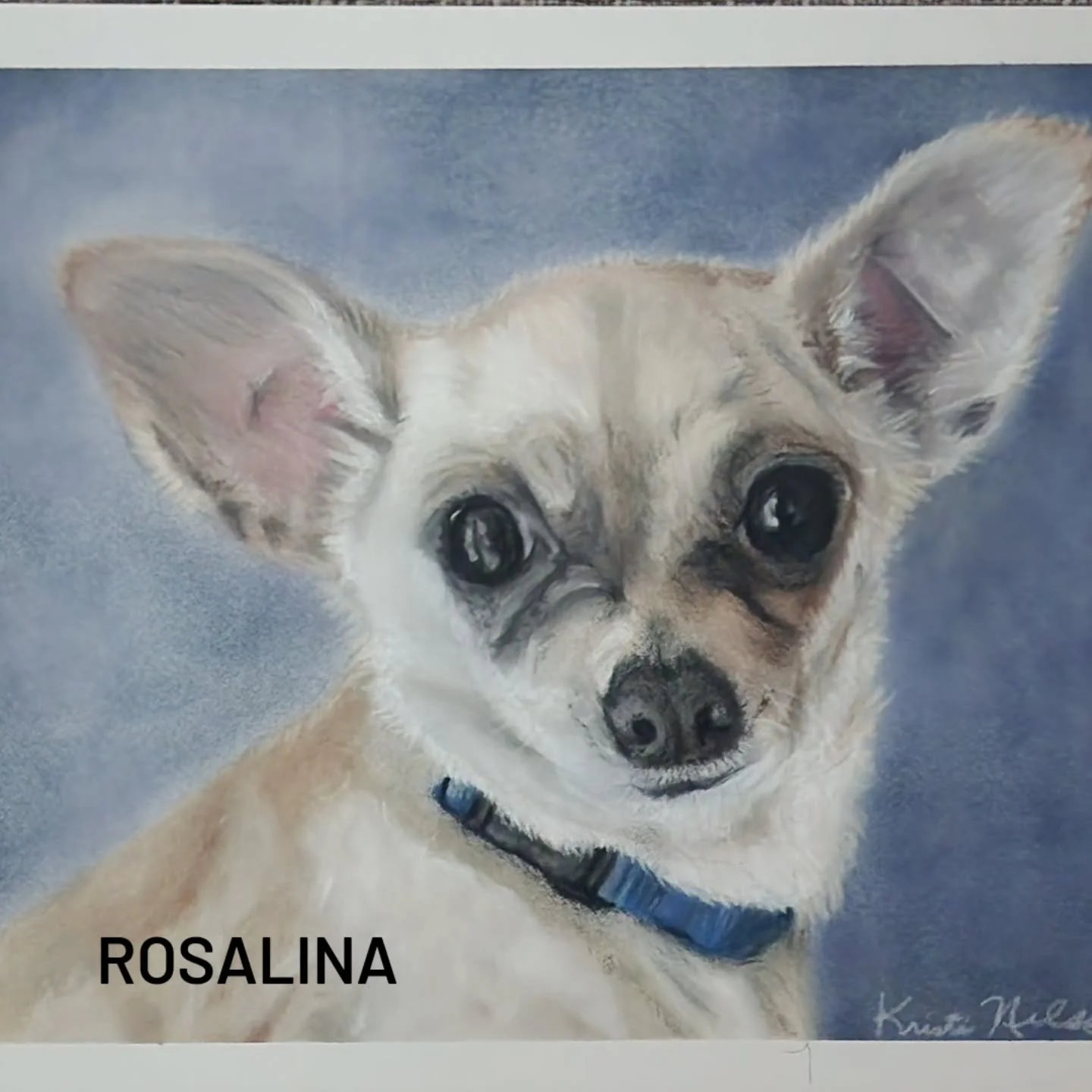 I finished this sweet girl's portrait awhile ago and even though it is a Christmas gift, i was assured it would be safe to post. What a sweet little chihuahua!
#pasteldogportrait #commissionedart #chihuahuas_of_instagram