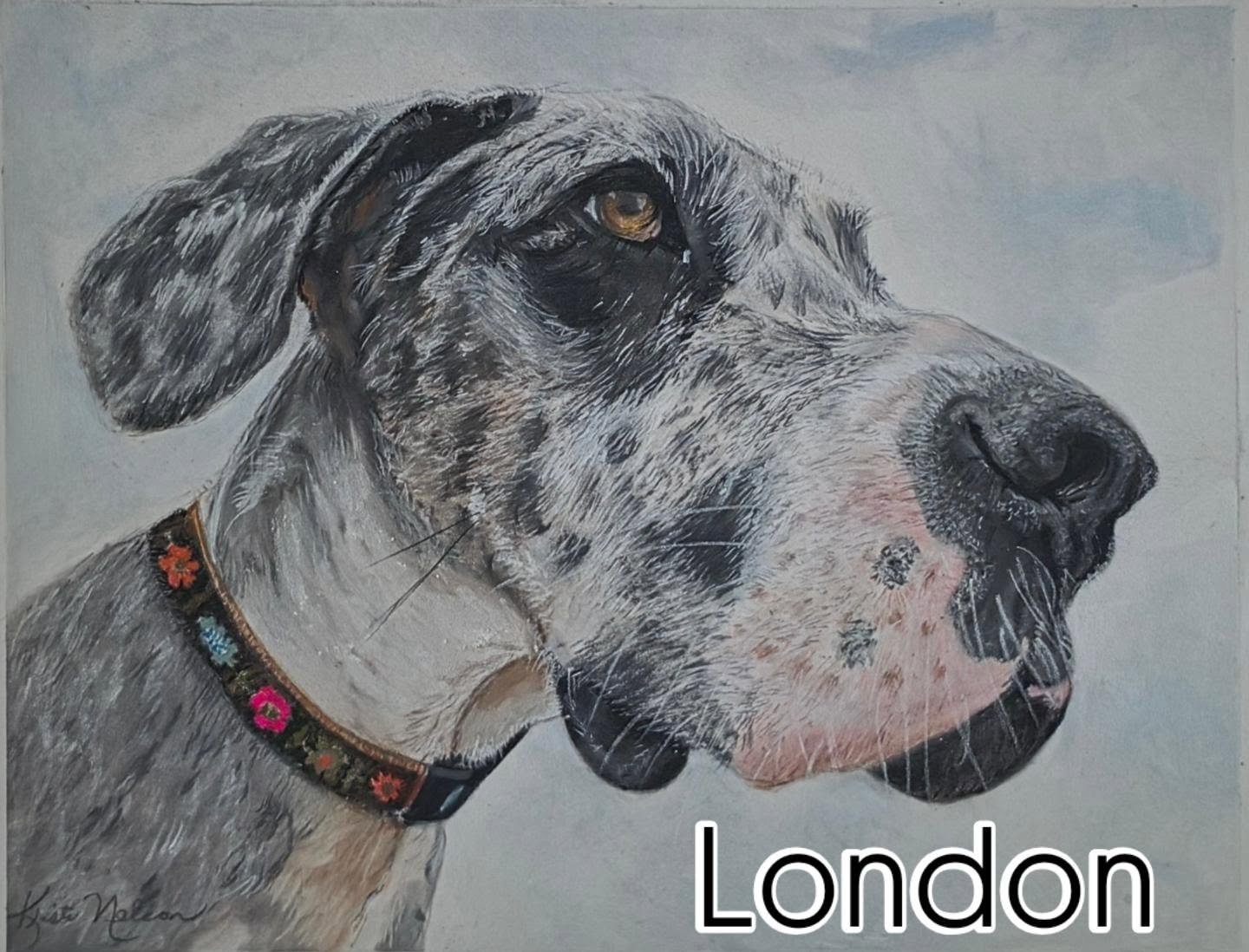 This sweet girl, London, was a rescue and lived with her family from the time she was six months until she crossed over at thirteen. She was the sweetest companion and had such a happy demeanor. 
I am honored I was given the privilege of painting her