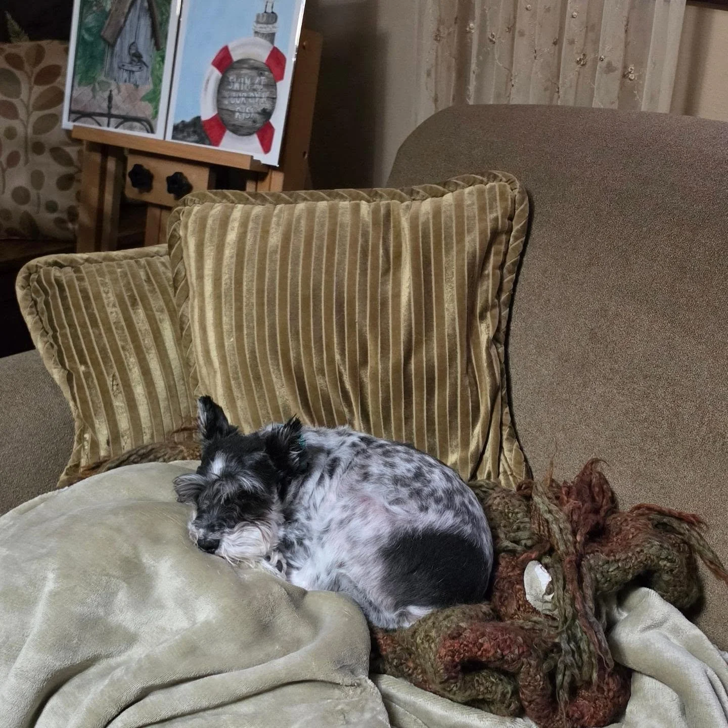 My studio mate seems to be sleeping on the job.
