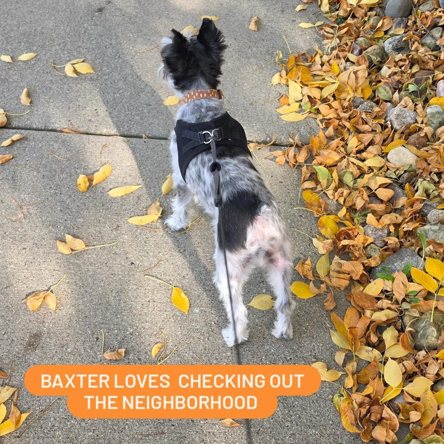 My favorite season!