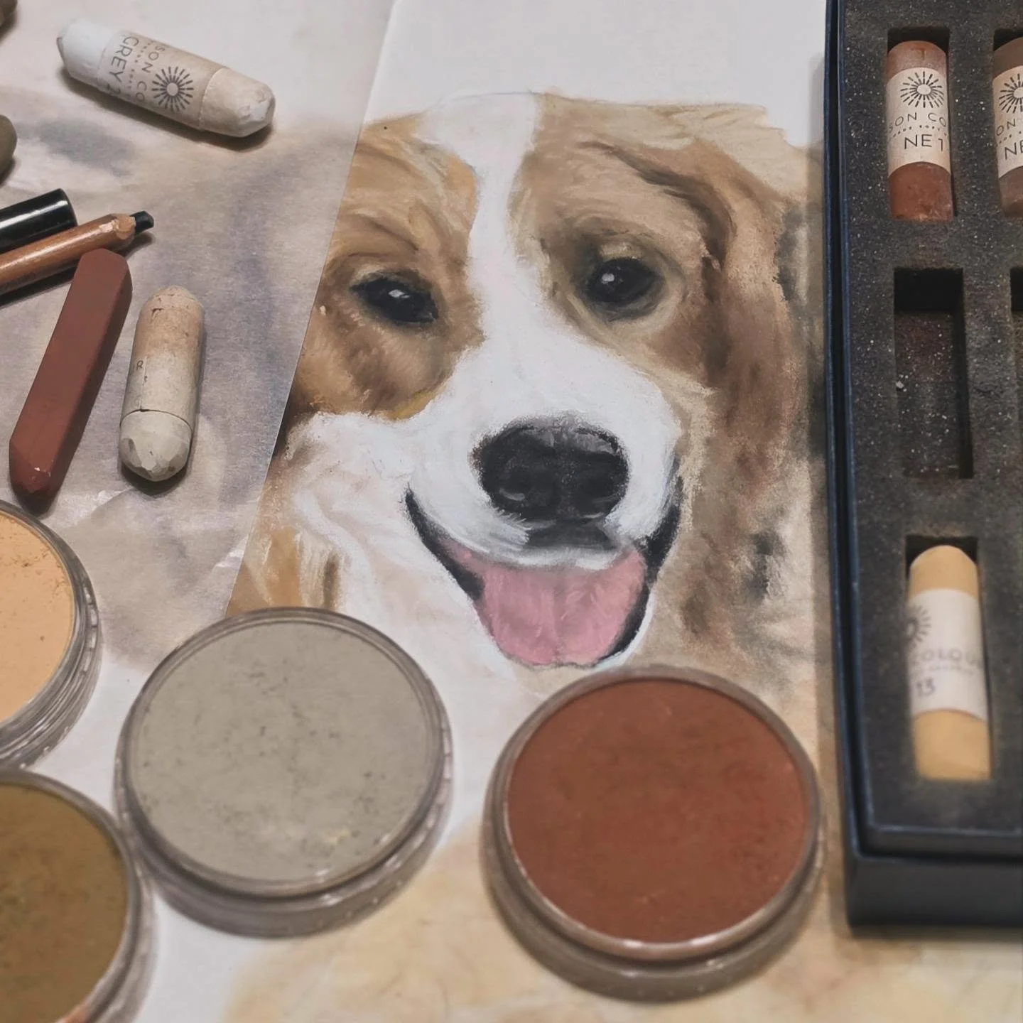 Here we go on dog #1 of this cute duo!

#commissionedart #unisoncoloursoftpastels #panpastels