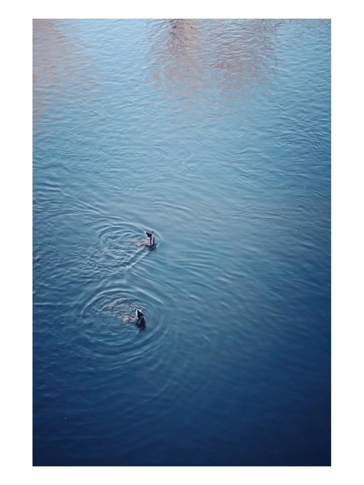 Some images wandering around Paisley!
Remember to check out my new YouTube channel too!

Fuji X-e5, 33mm 1.4.