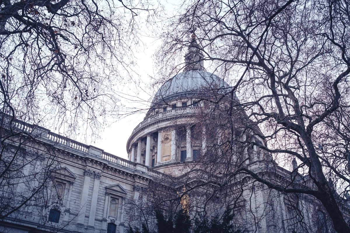 St. Pauls Cathedral viewed from below through leafless trees.