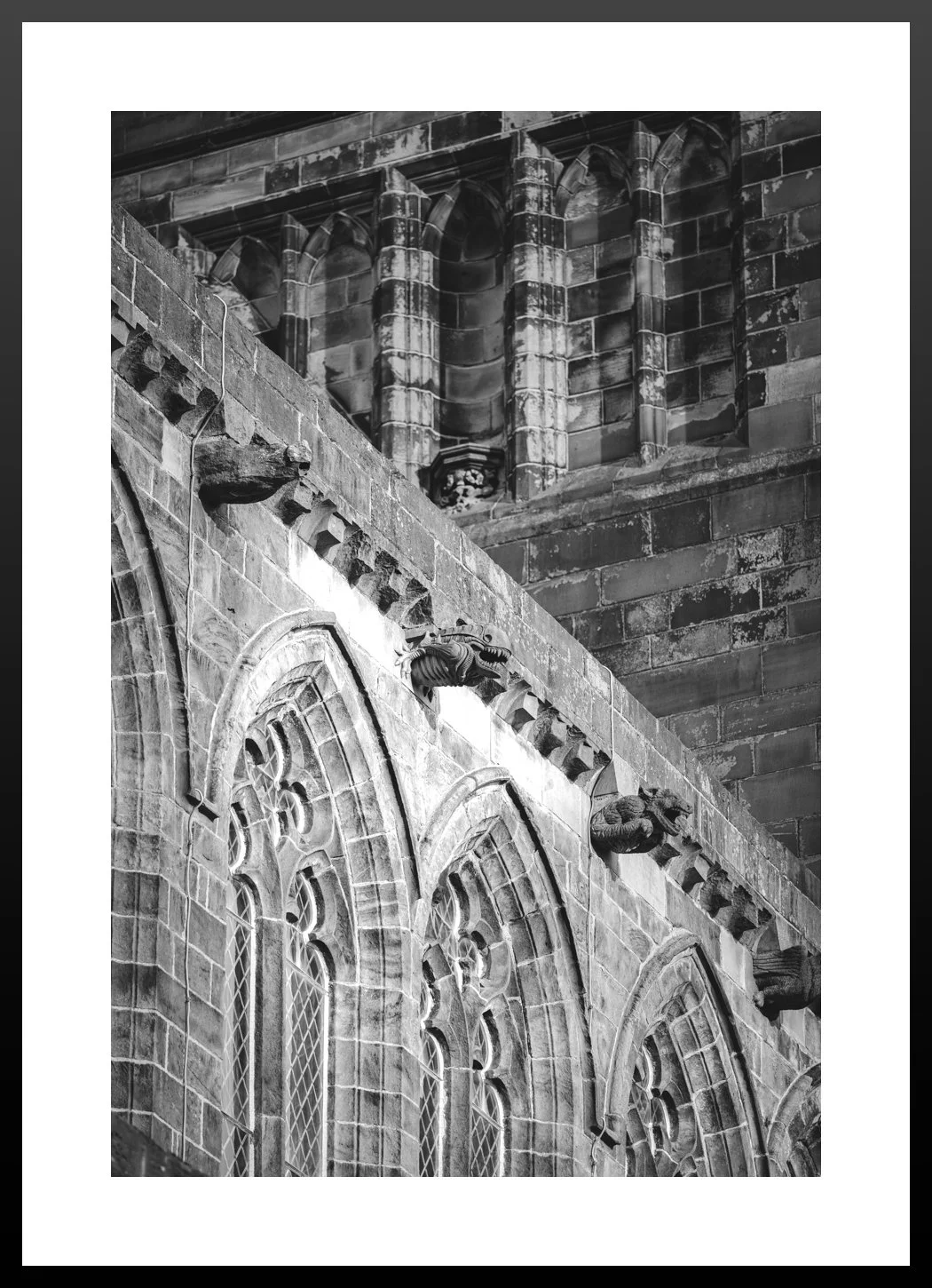 Paisley-Gargoyles.jpg
