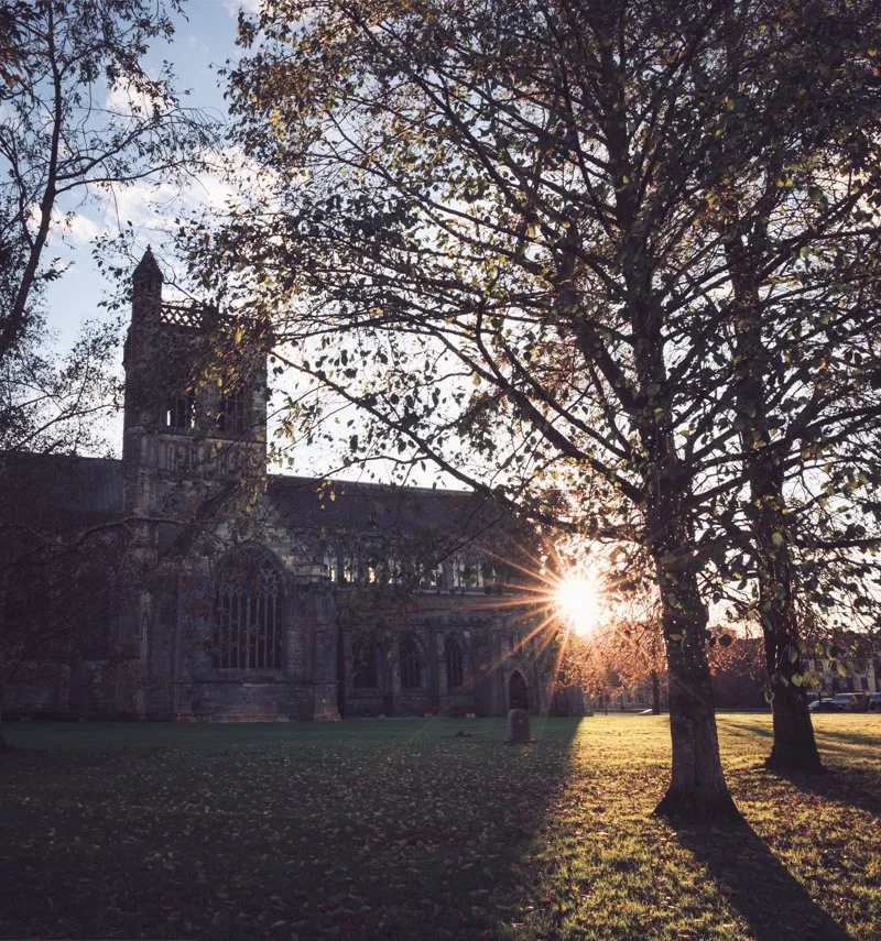 A church with a tall steeple, trees with sparse leaves, and the sun setting behind the trees, casting long shadows on the grass.
