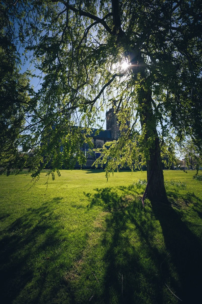 Paisley Abbey Starburst