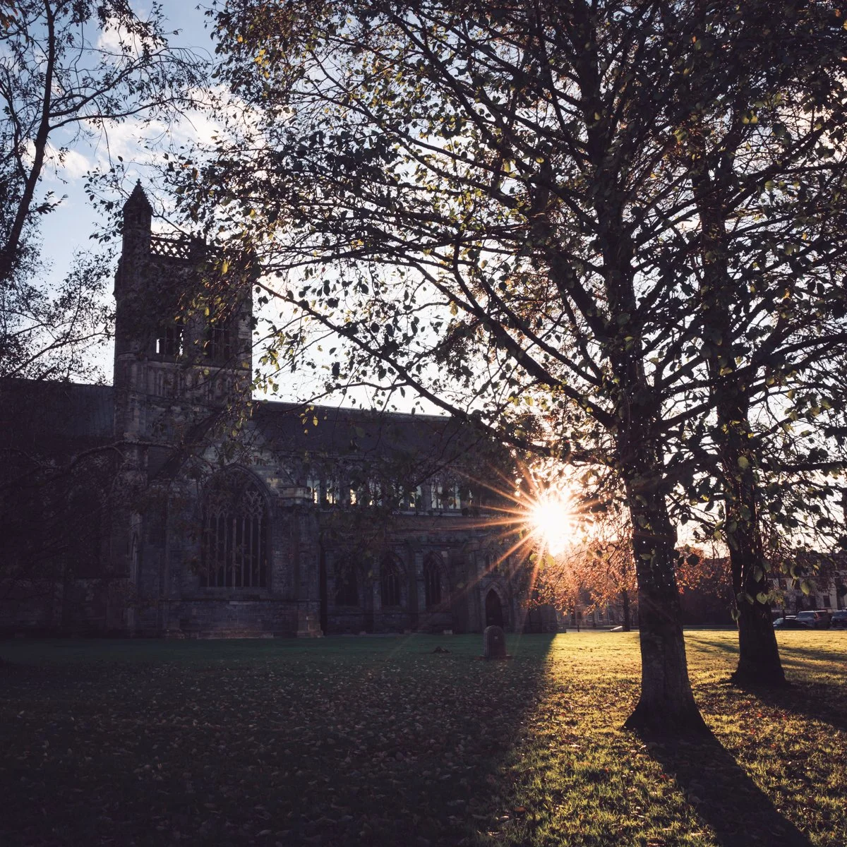 Paisley Abbey Starburst Colour