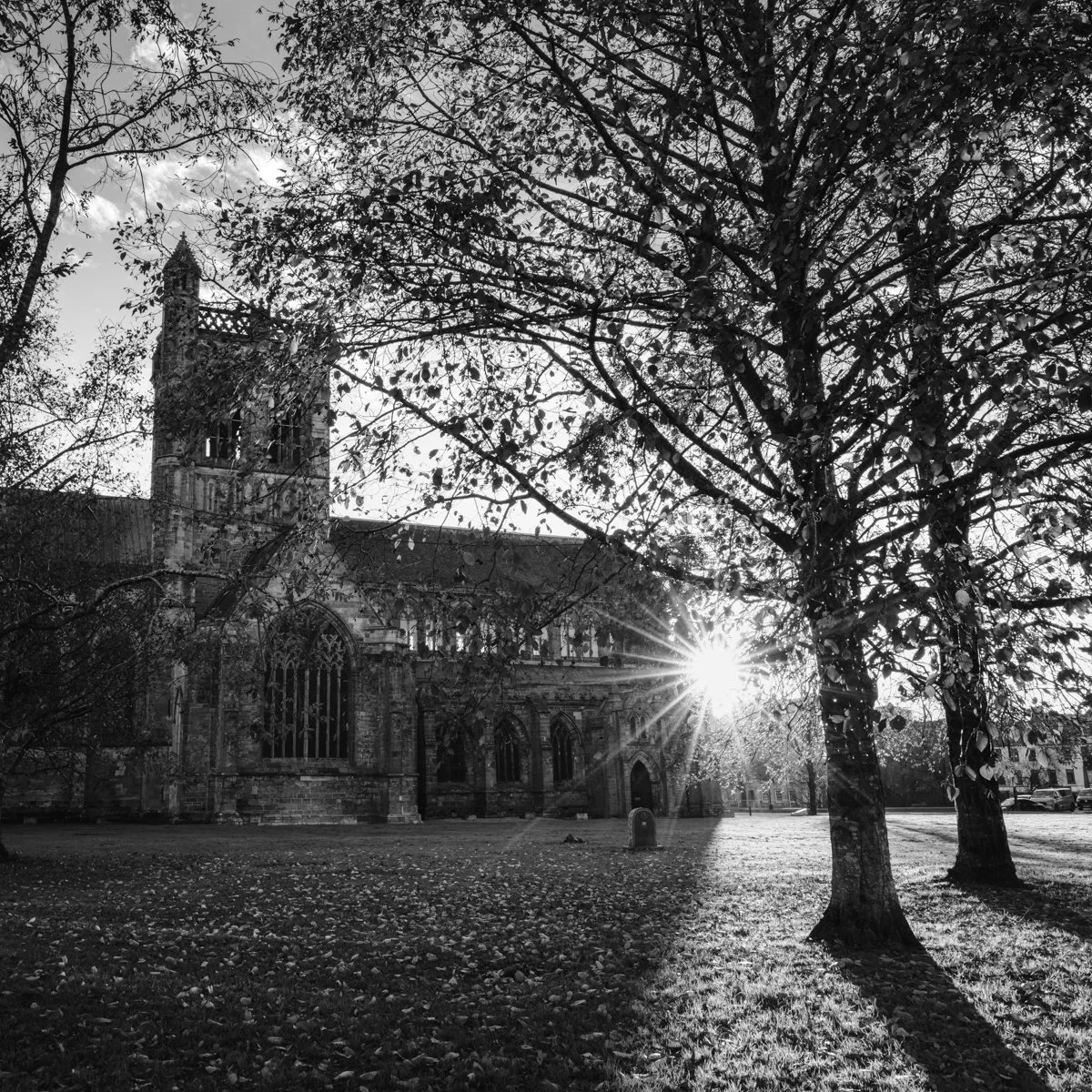 Paisley Abbey Starburst Black and White