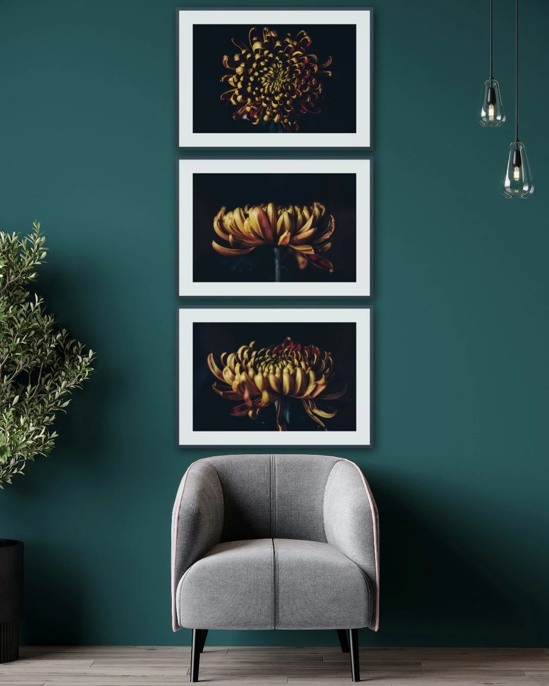 Chrysanthemum Collection.jpeg