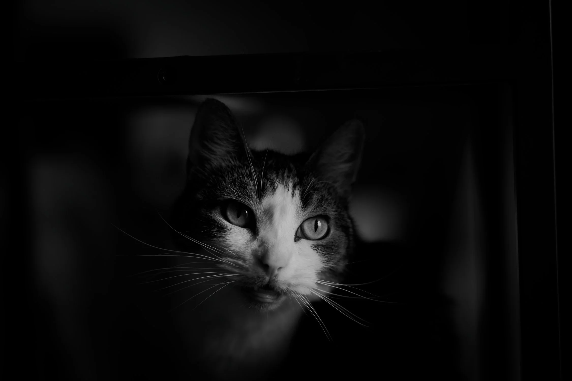 DSC_0484_DxO.jpg