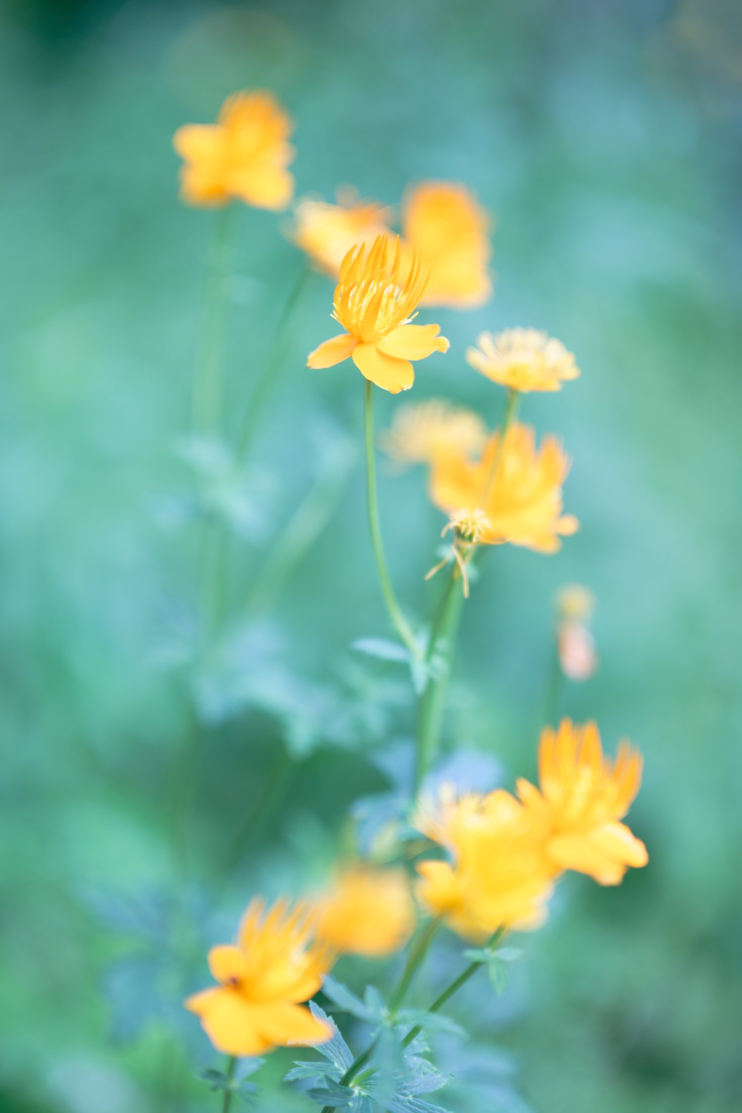 DSC_0696_DxO.jpg